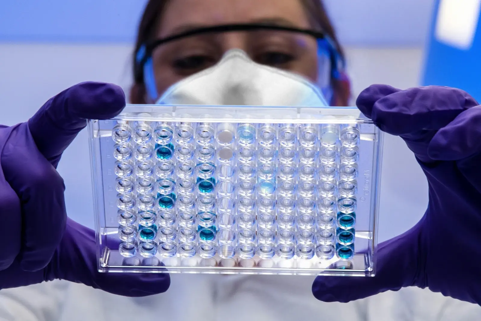 A laboratory technician in PPE holding up a 96-well microplate with rows of blue and clear assay reactions, the format used for hantavirus ELISA.