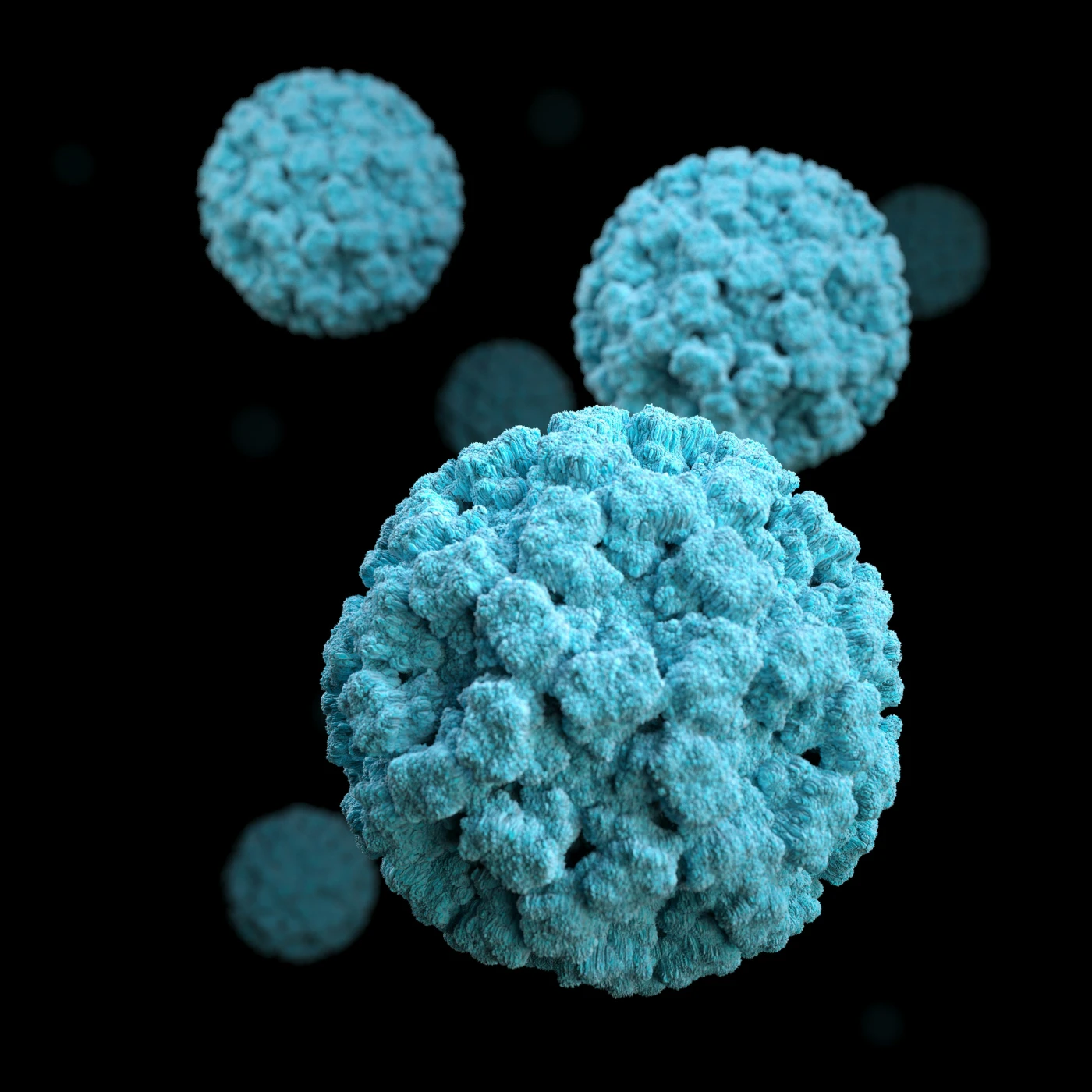 3D rendering of hantavirus particles, showing the spherical shape and surface glycoproteins of an Orthohantavirus virion.